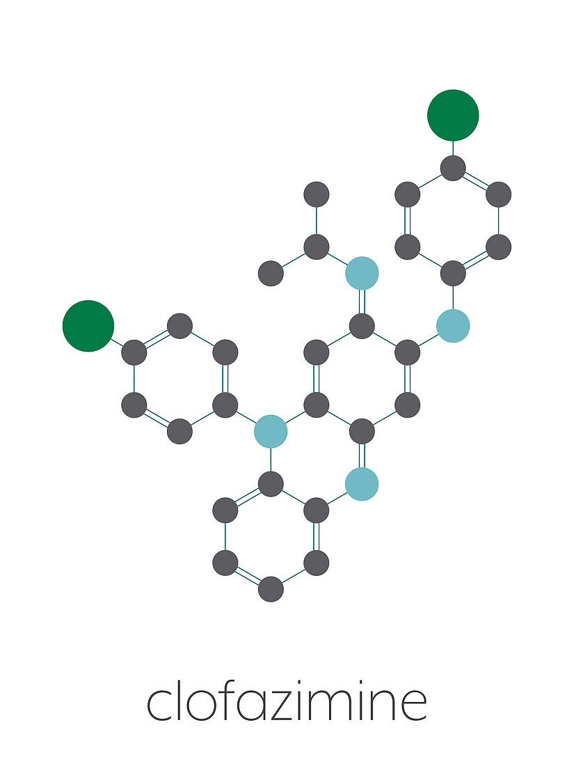 Clofazimine leprosy drug, molecular model
