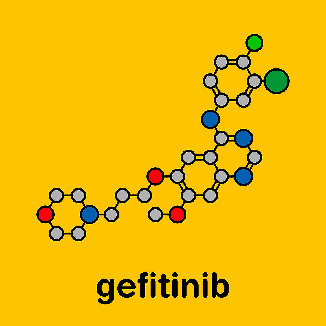 Gefitinib cancer drug, molecular model