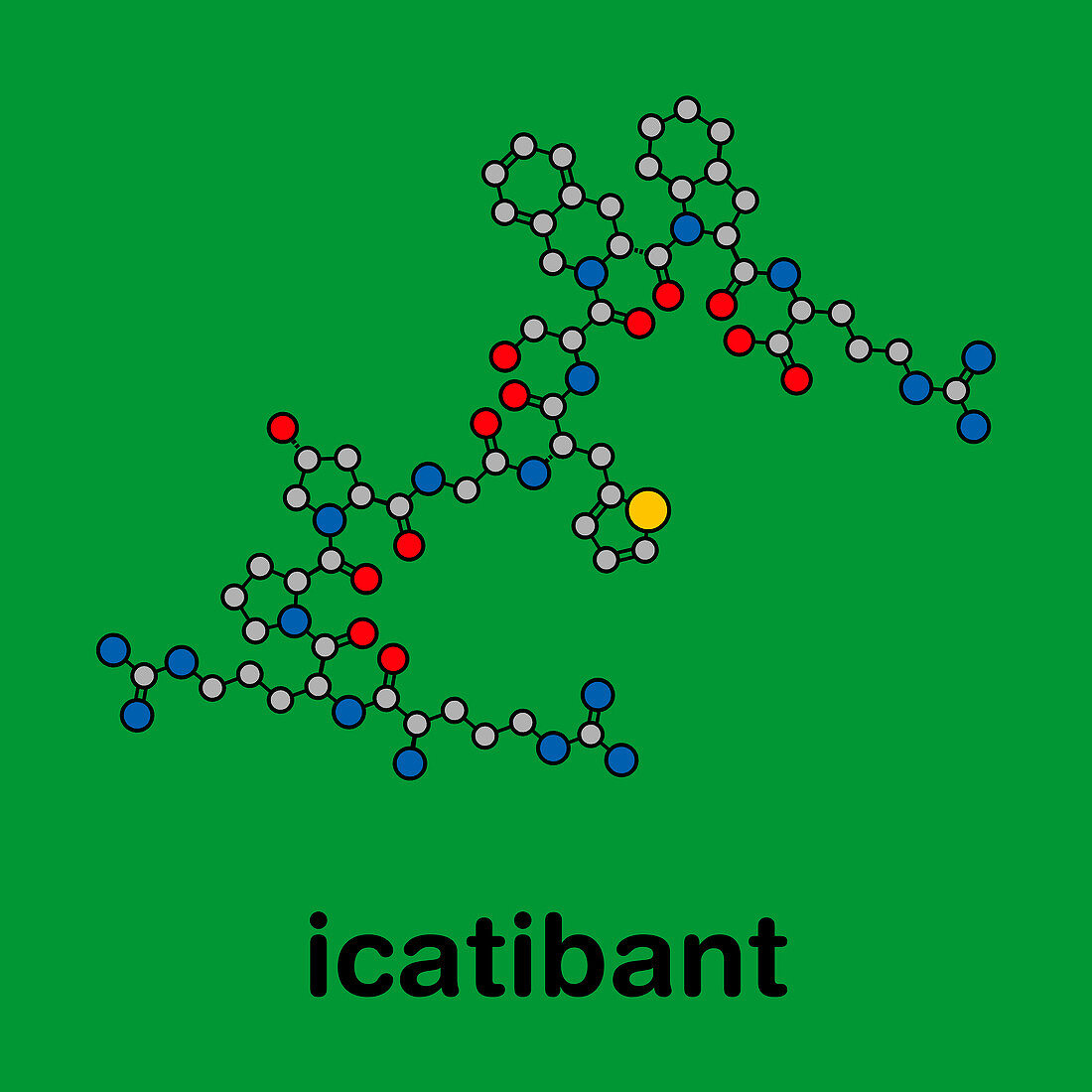 Icatibant hereditary angioedema drug, molecular model