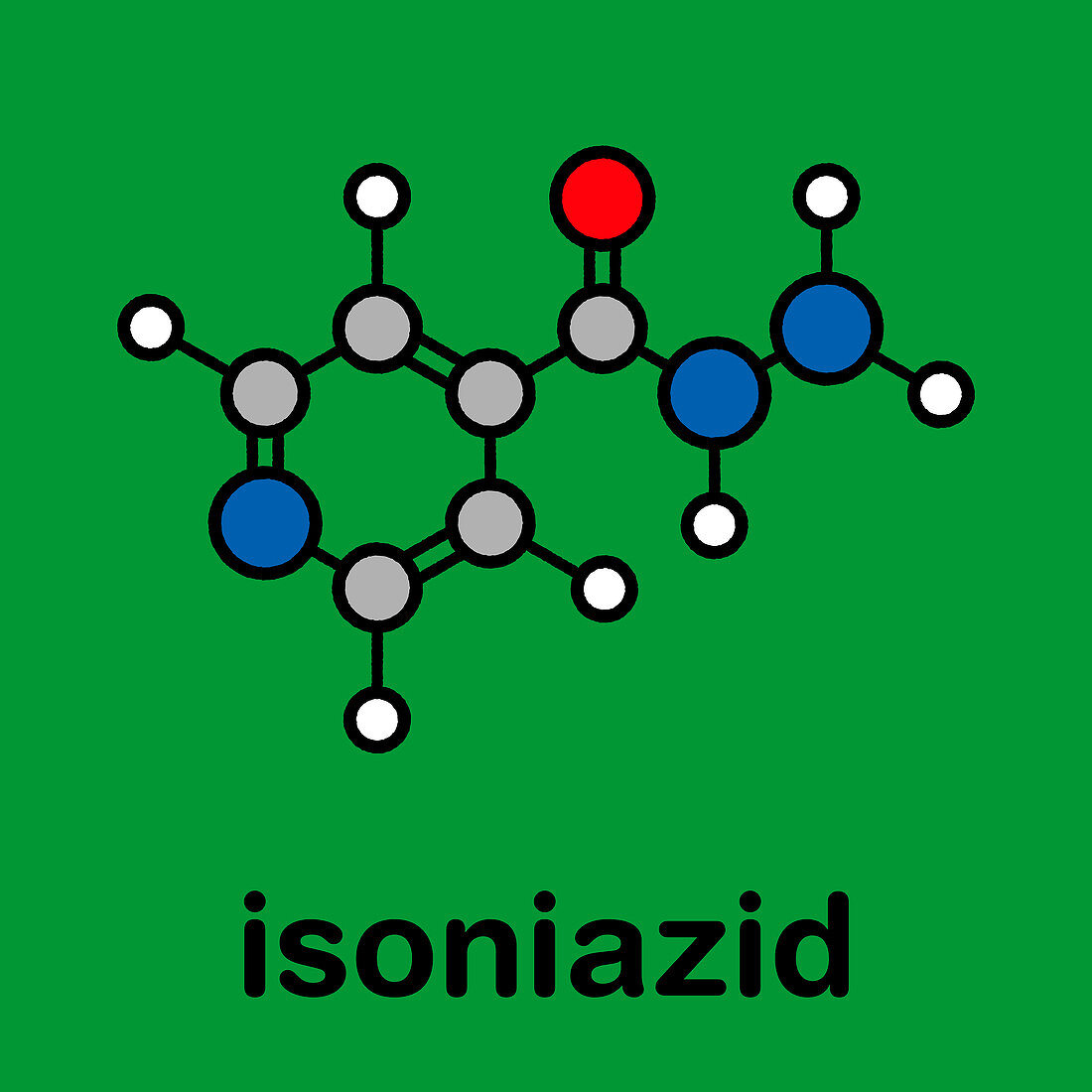 Isoniazid tuberculosis antibiotic drug, molecular model