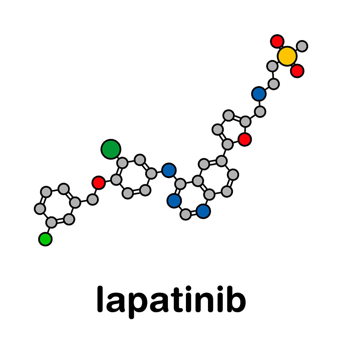 Lapatinib cancer drug, molecular model