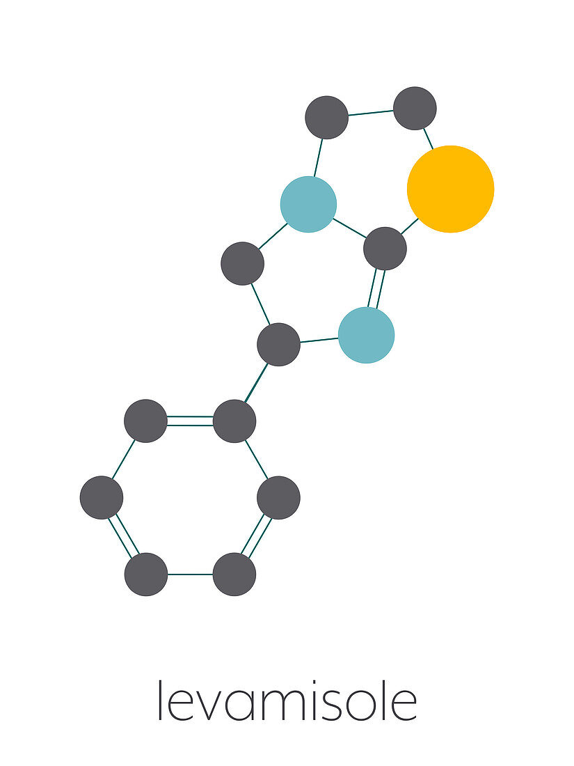 Levamisole anthelmintic drug, molecular model