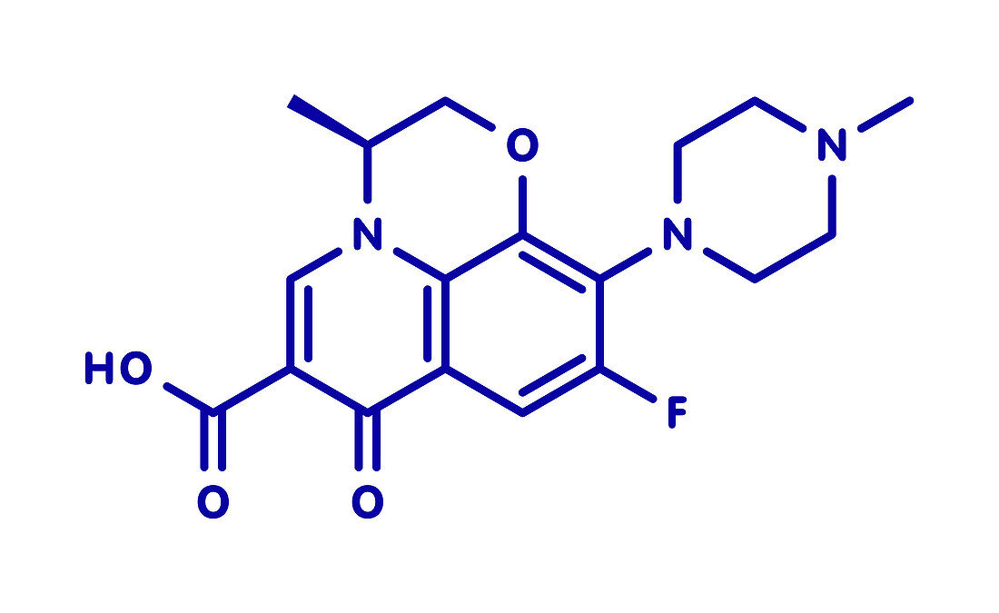 Levofloxacin antibiotic drug, molecular model