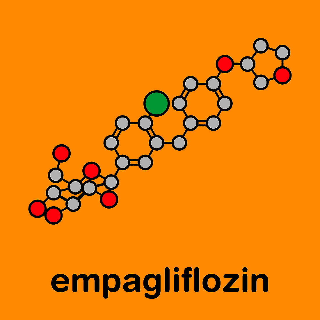 Empagliflozin diabetes drug, molecular model