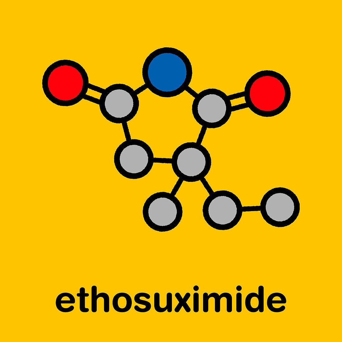 Ethosuximide anticonvulsant drug, molecular model