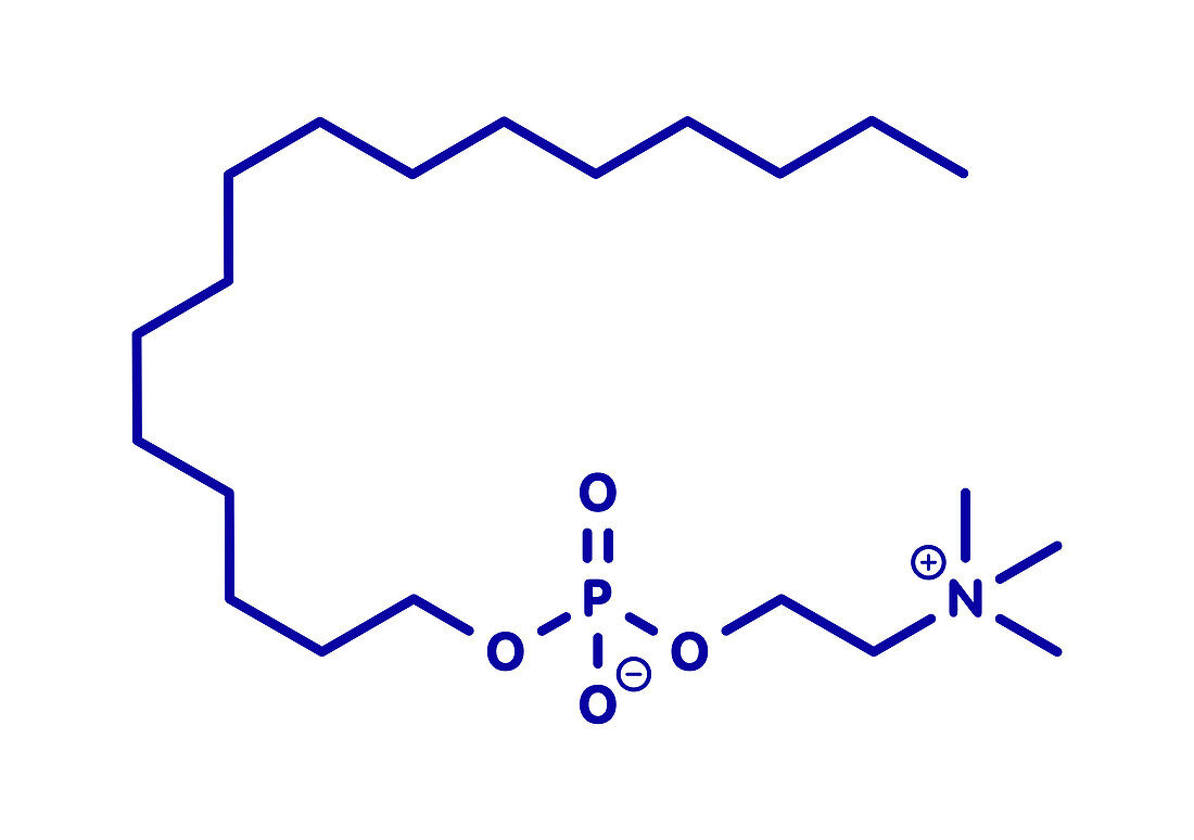Miltefosine leishmaniasis drug, molecular model