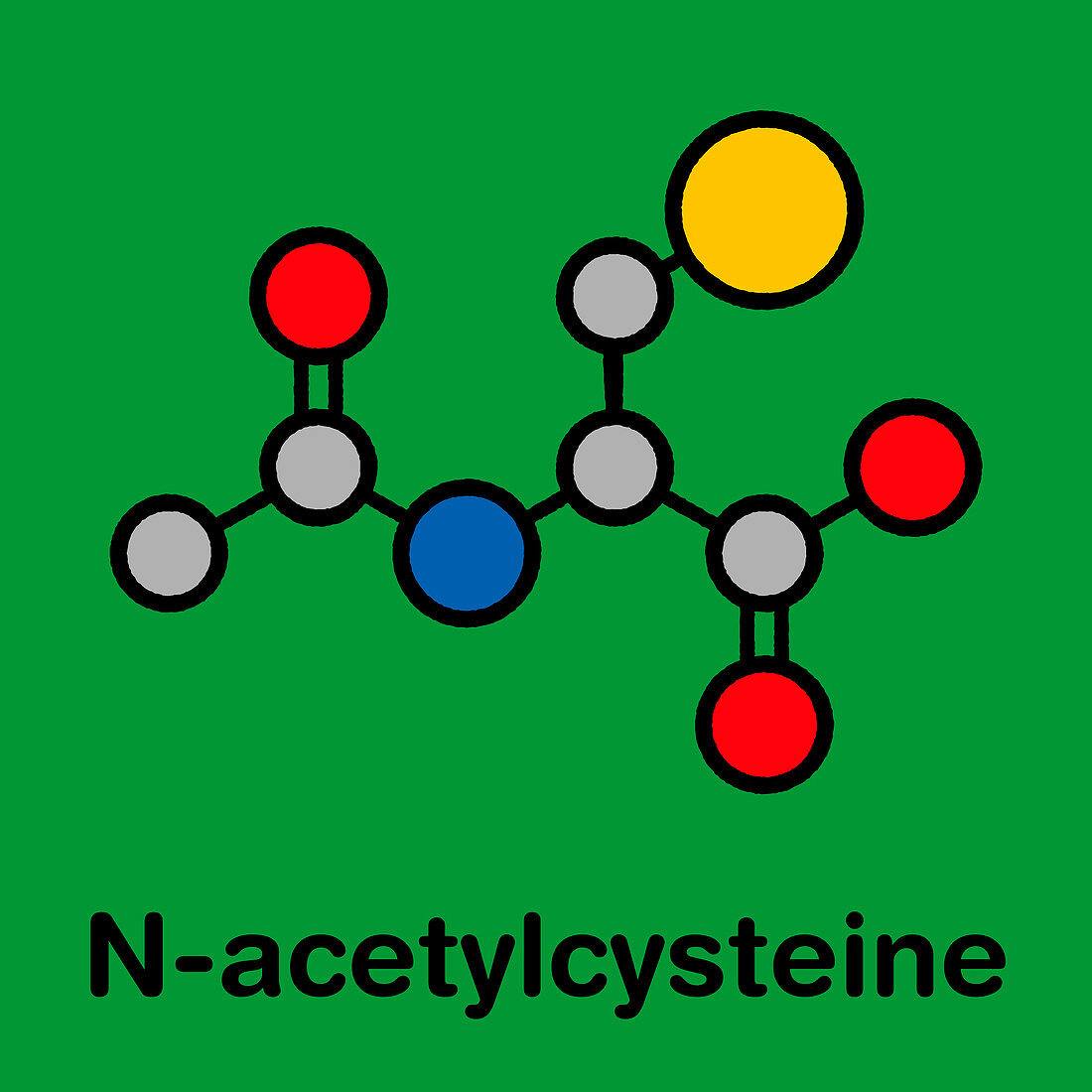 Acetylcysteine mucolytic drug, molecular model