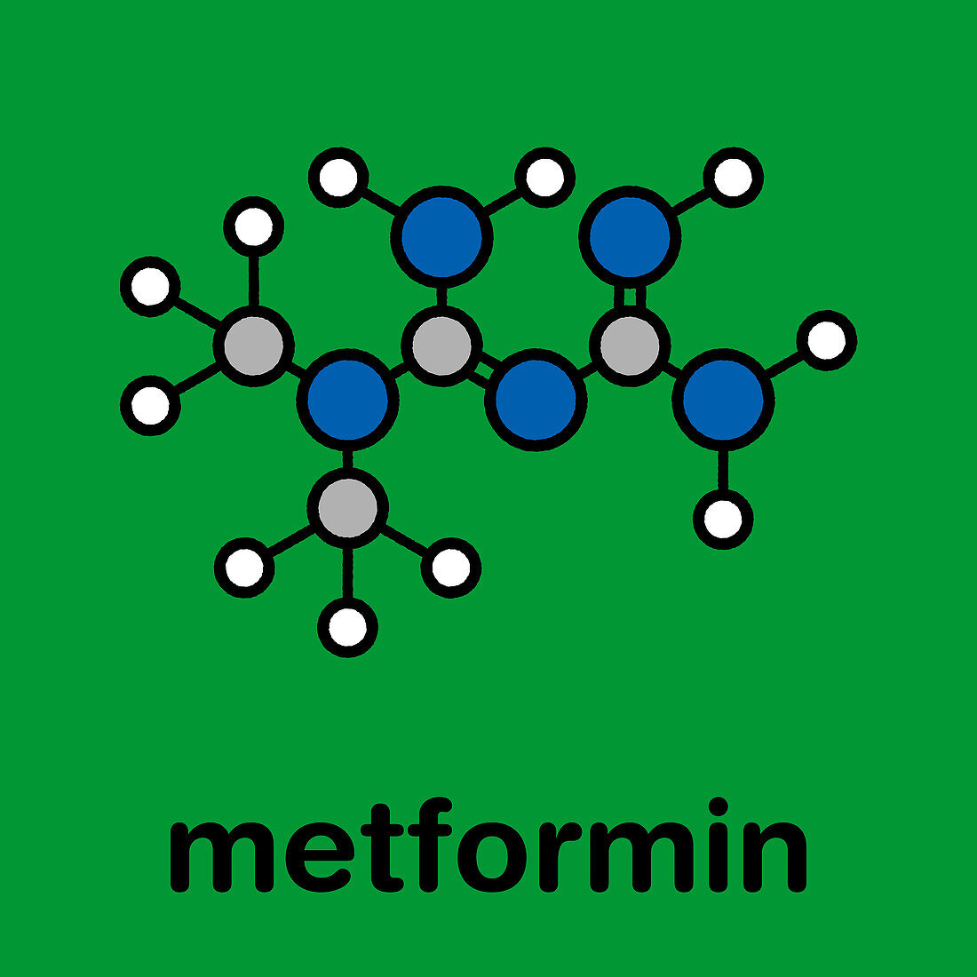 Metformin diabetes drug, molecular model