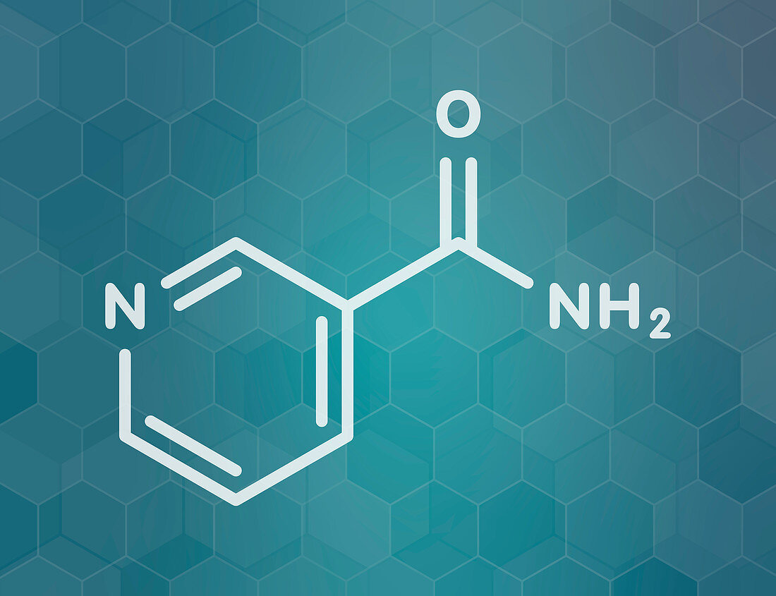 Nicotinamide drug and vitamin, molecular model