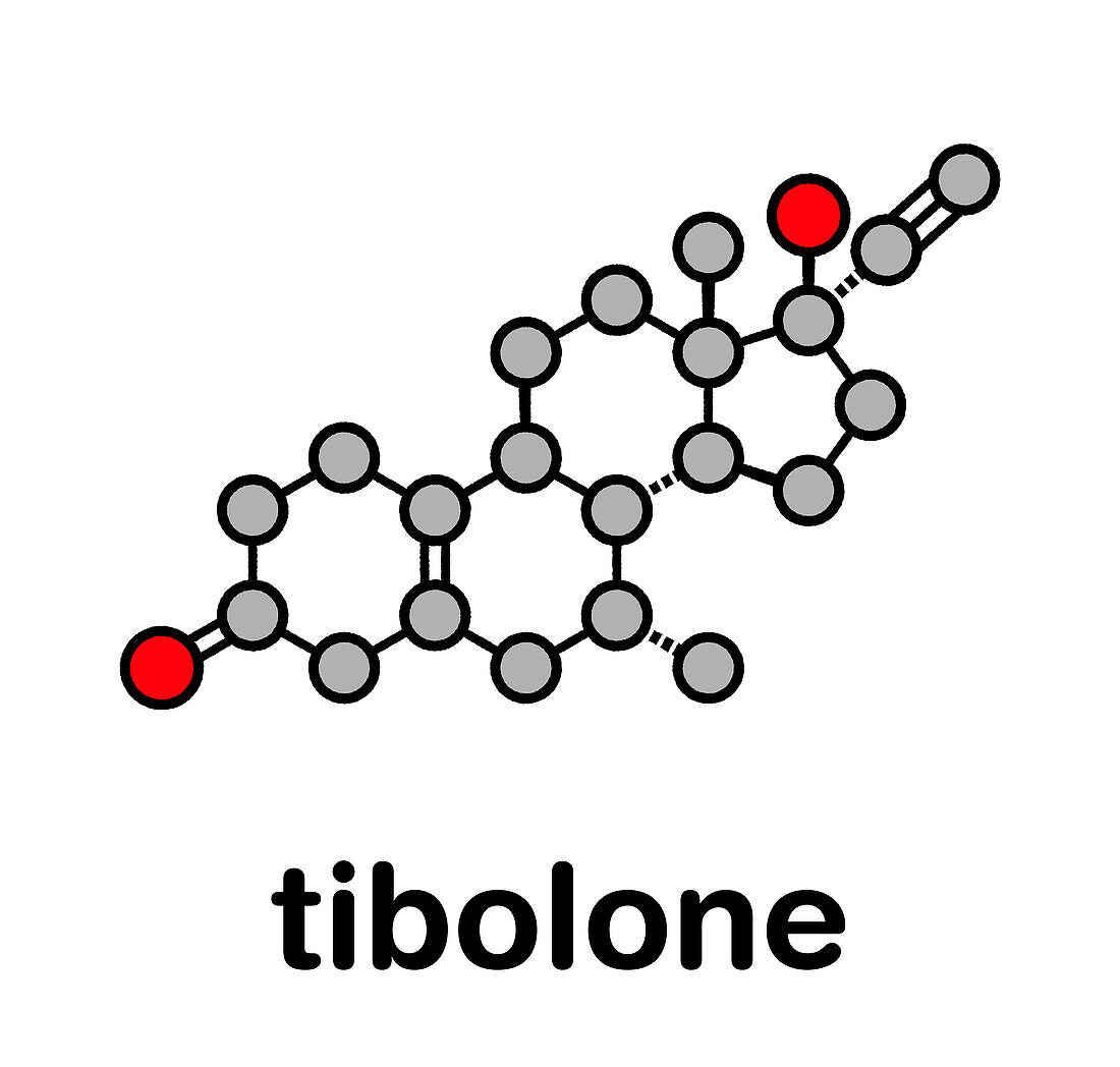 Tibolone endometriosis drug, molecular model