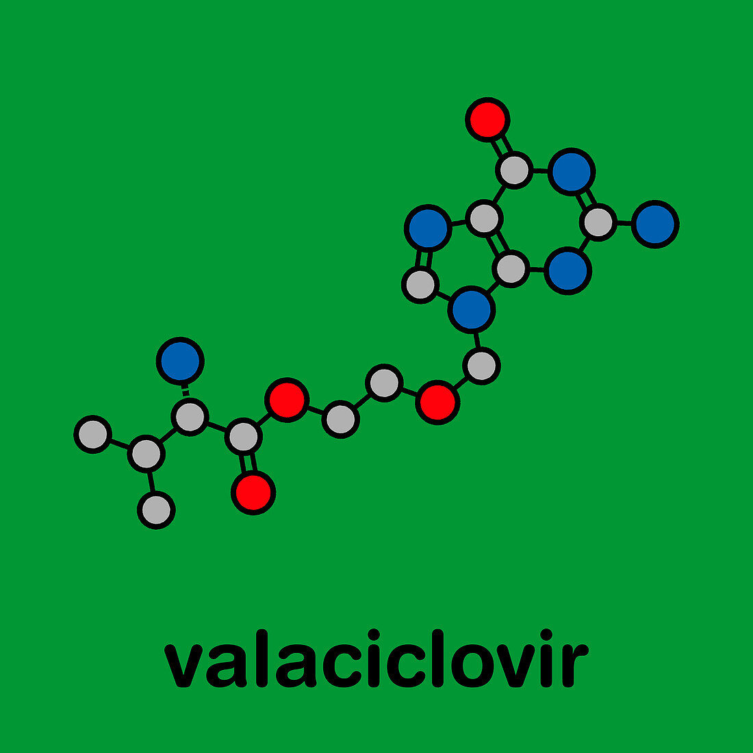 Valaciclovir herpes infection drug, molecular model