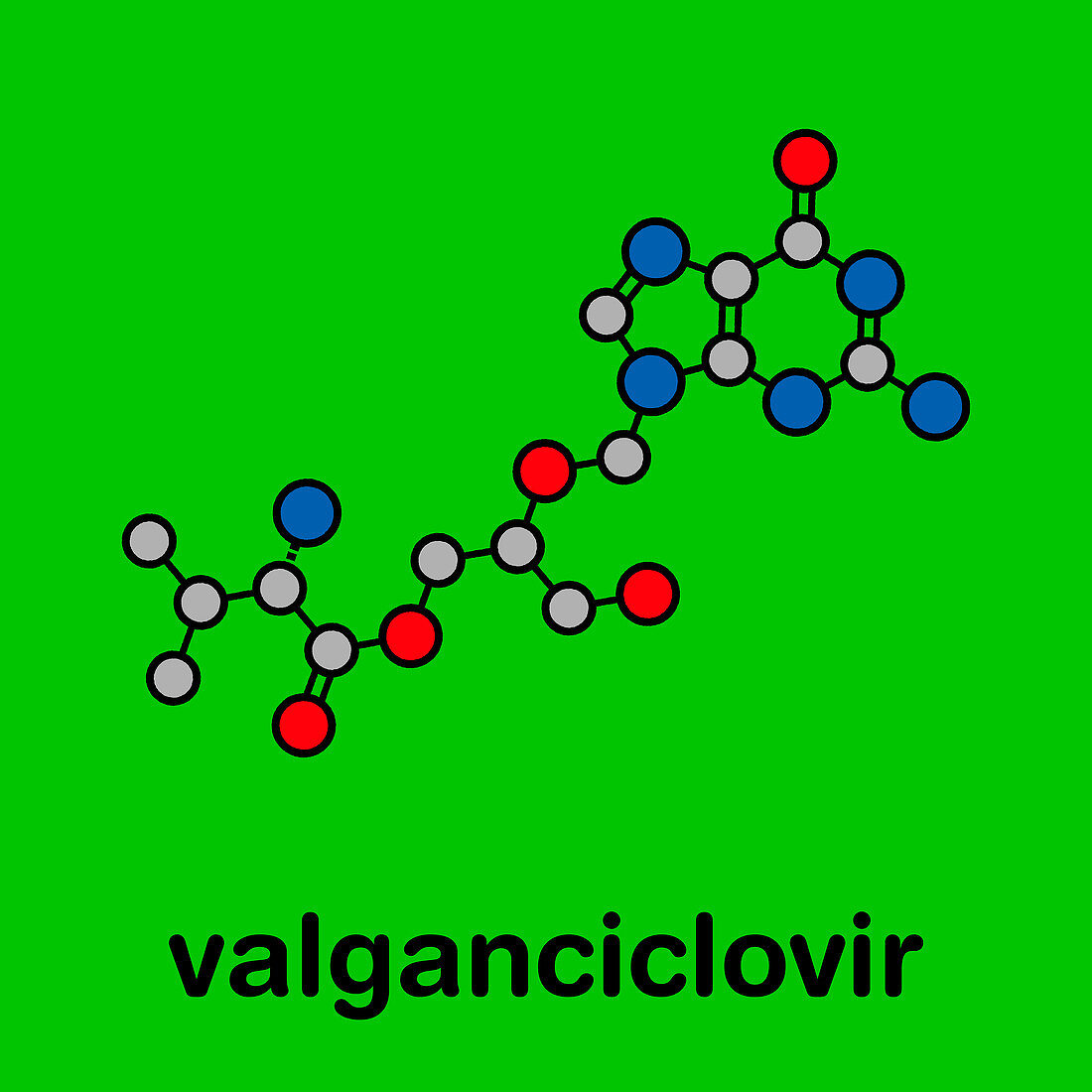 Valganciclovir cytomegalovirus drug, molecular model
