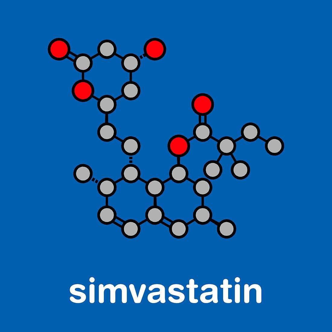 Simvastatin cholesterol lowering drug, molecular model