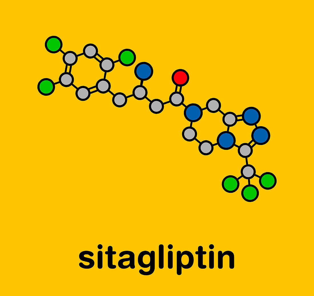 Sitagliptin diabetes drug, molecular model