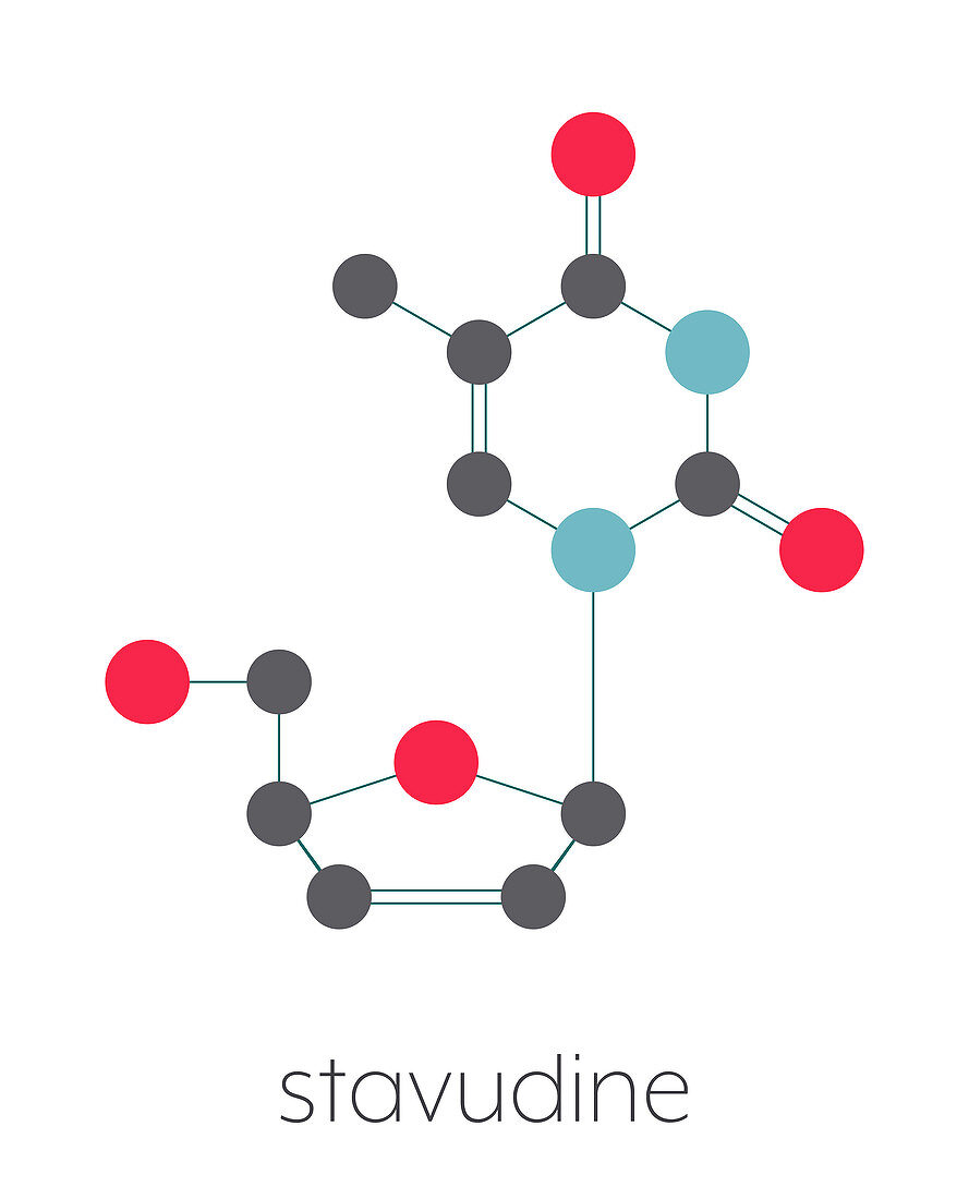 Stavudine HIV drug, molecular model