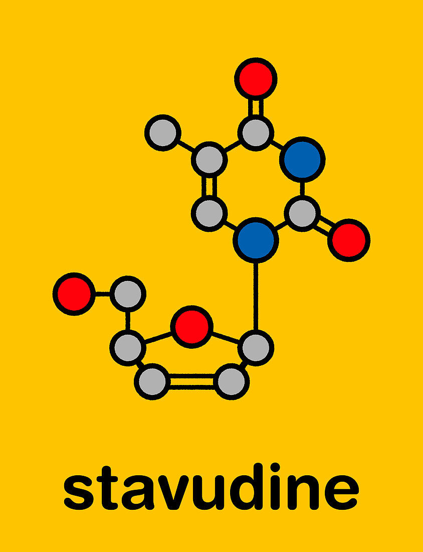 Stavudine HIV drug, molecular model
