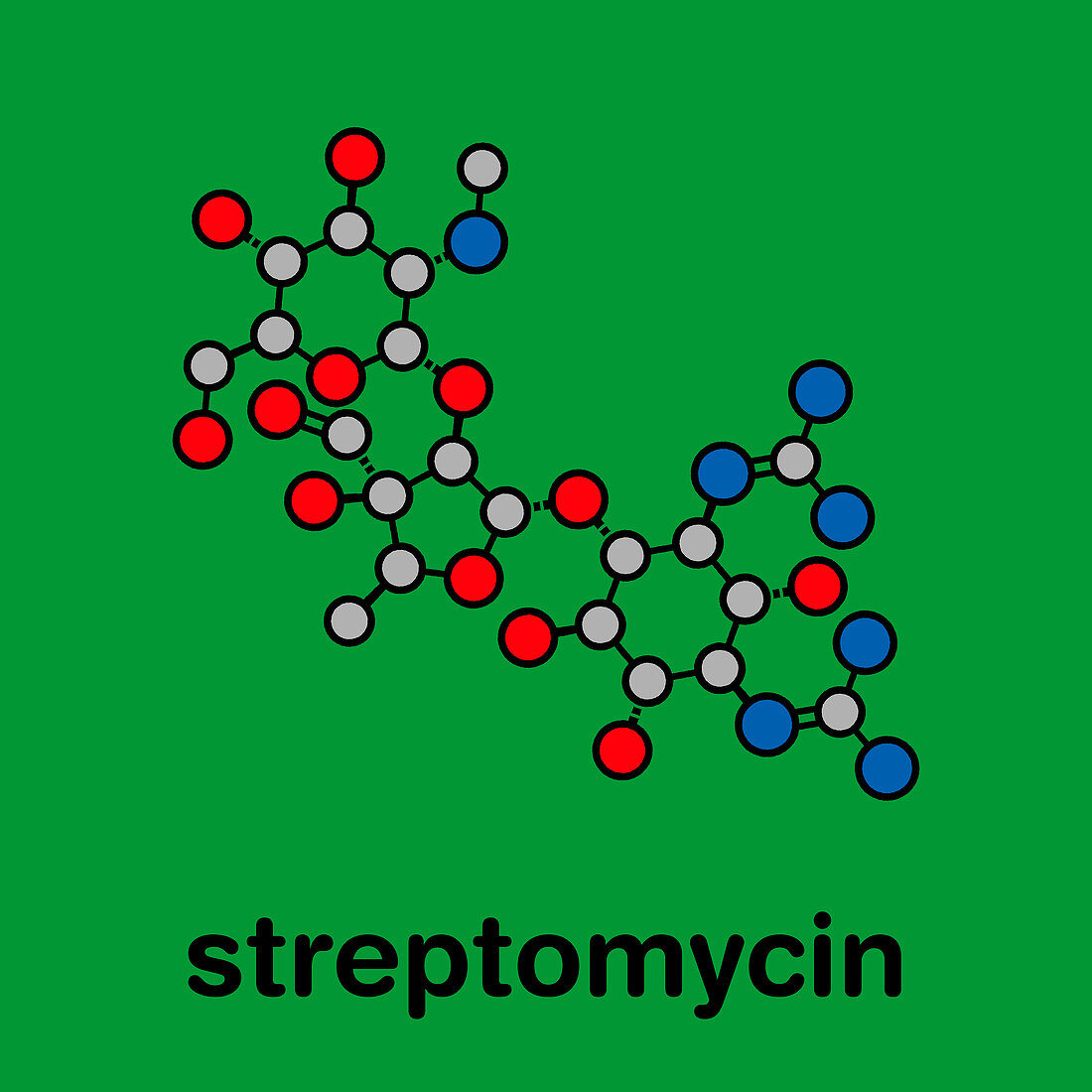 Streptomycin tuberculosis antibiotic drug, molecular model