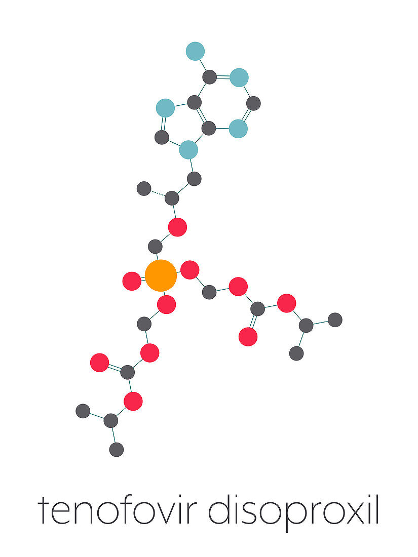 Tenofovir disoproxil HIV drug, molecular model