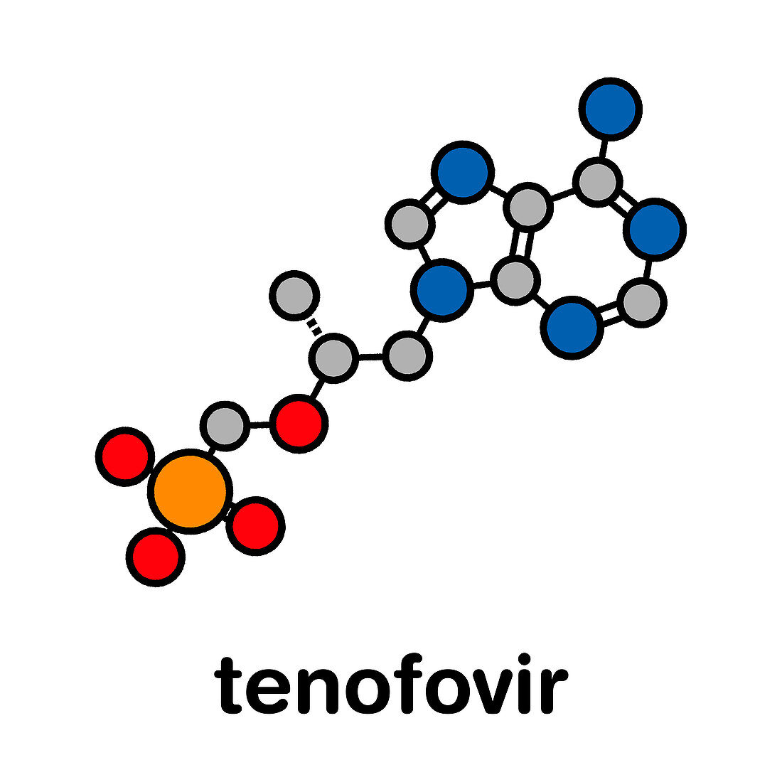 Tenofovir HIV drug, molecular model