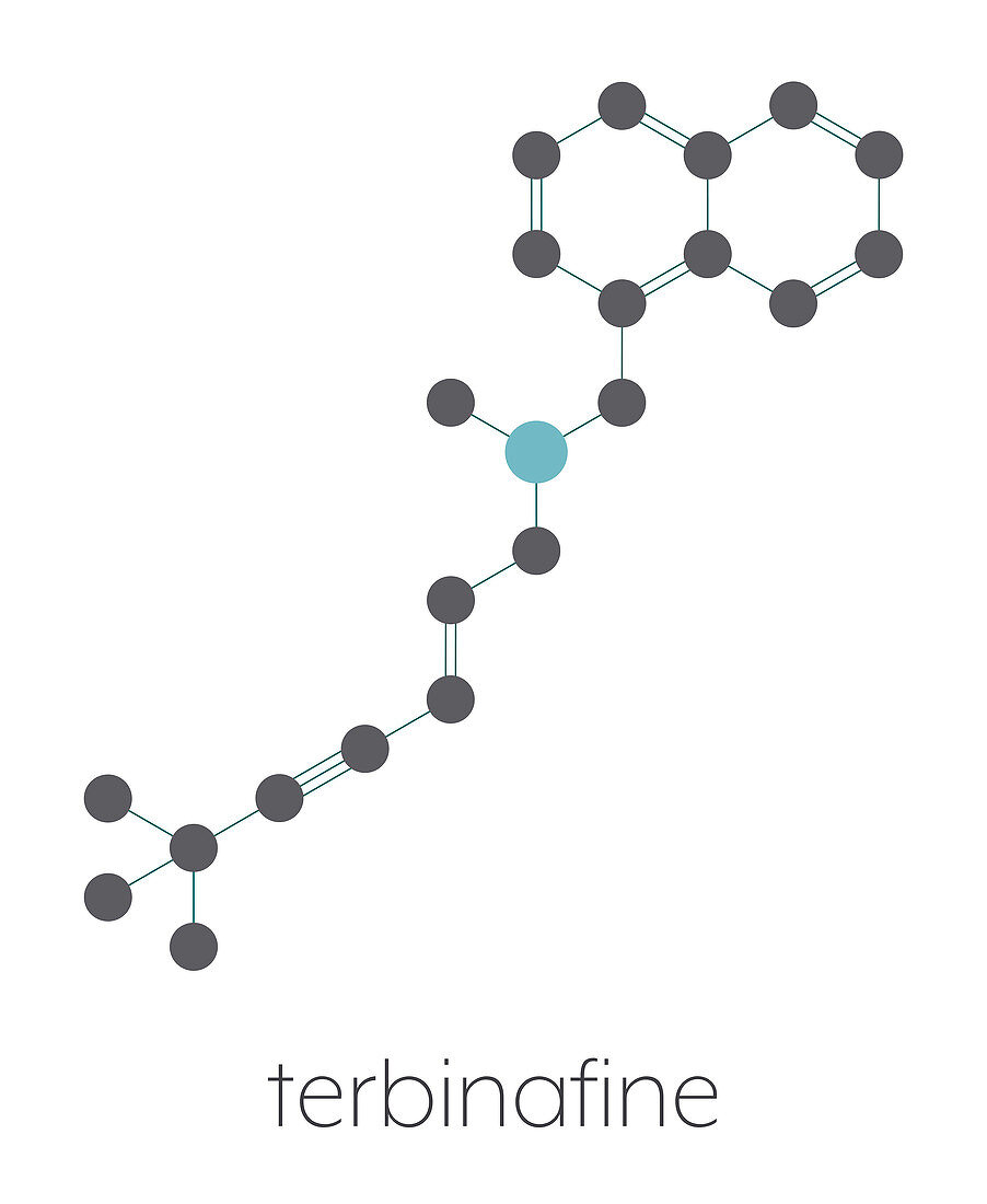 Terbinafine antifungal drug, molecular model