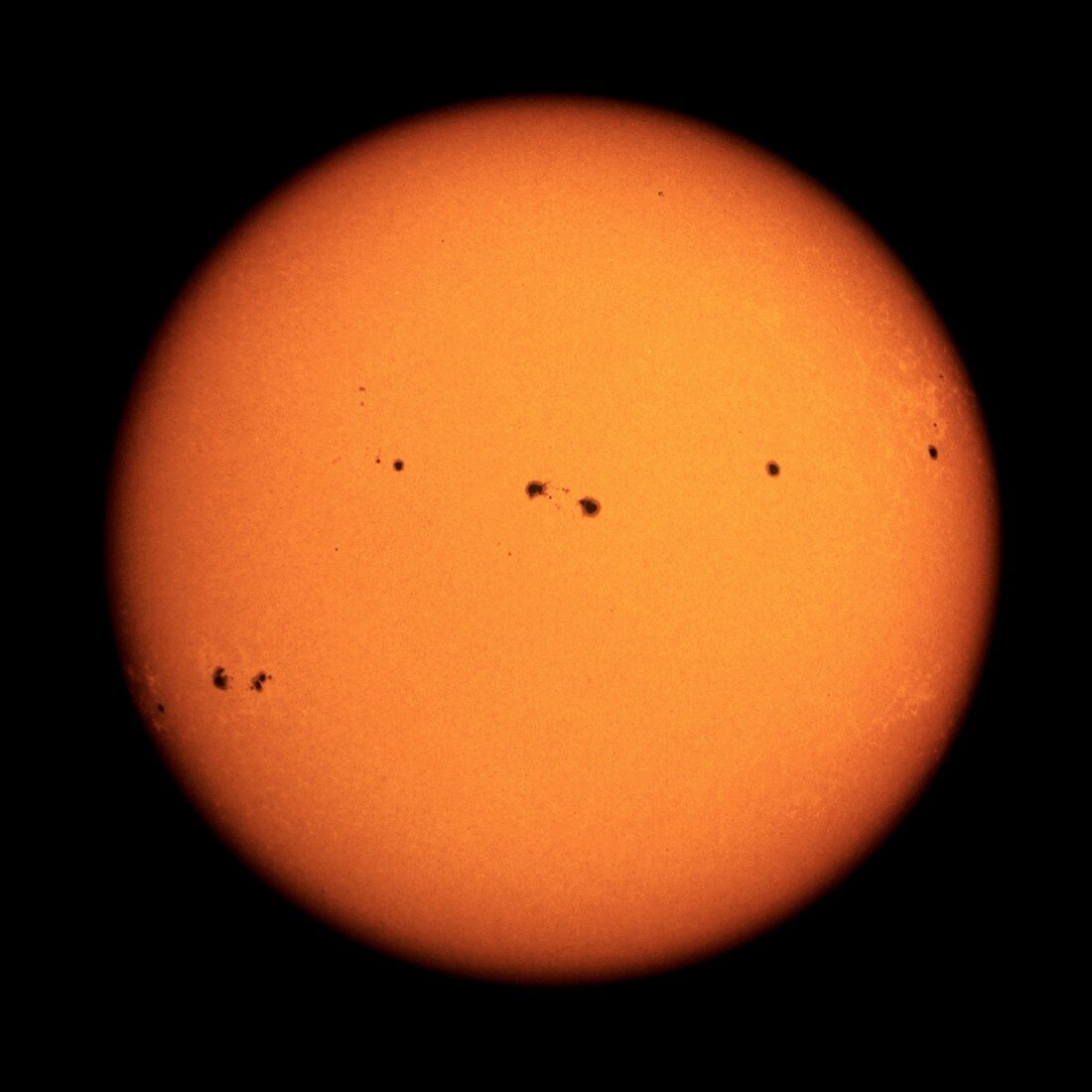 Sunspots on the Sun, October 1989