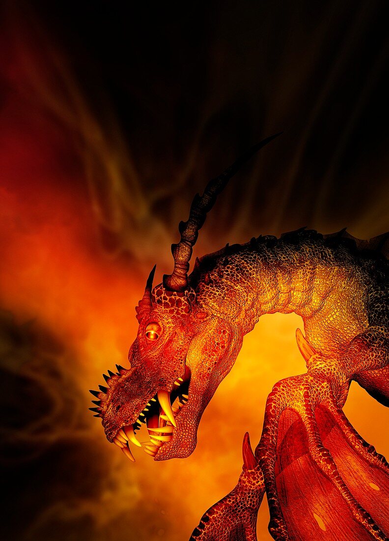 Dragon, illustration