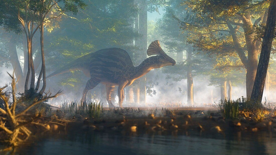 Olorotitan dinosaur, illustration
