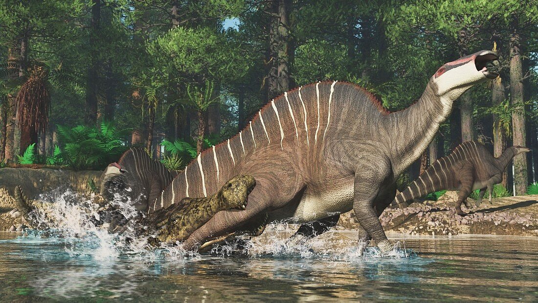 Sarcosuchus hunting Ouranosaurus, illustration