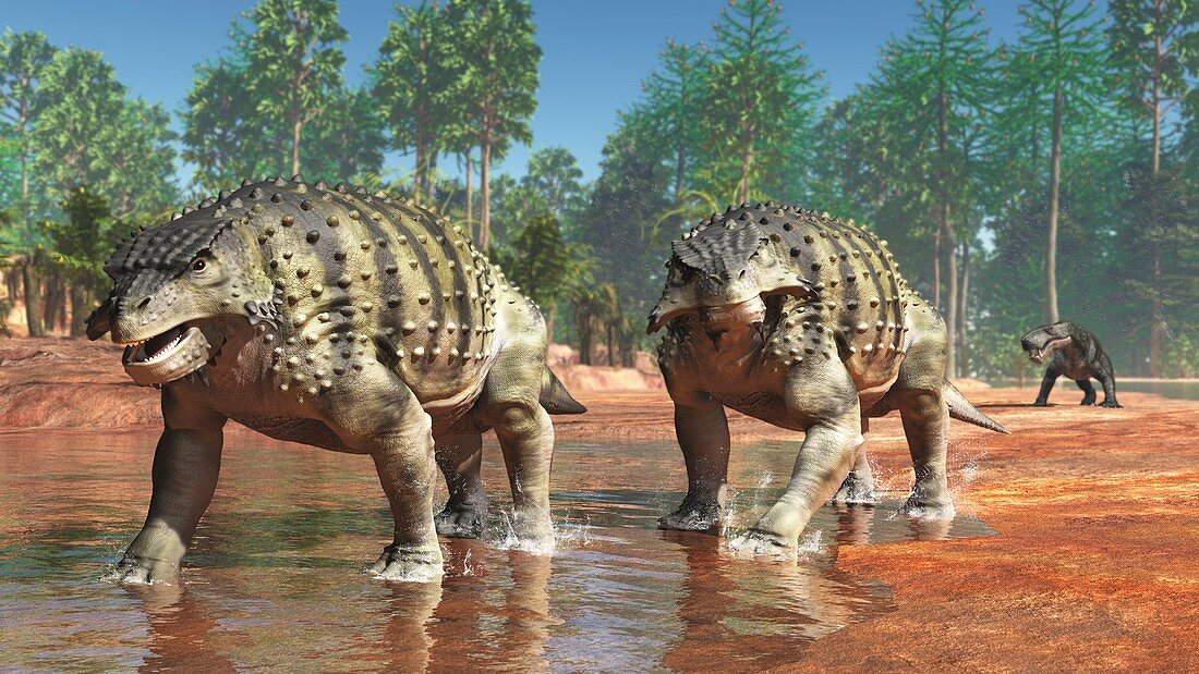 Scutosaurus and Inostrancevia dinosaurs, illustration