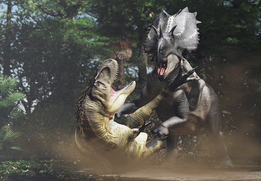 Teratophoneus and Utahceratops fighting, illustration