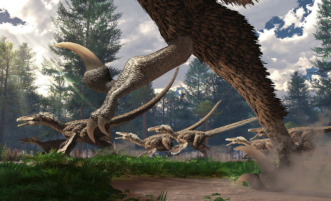 Velociraptors hunting, illustration