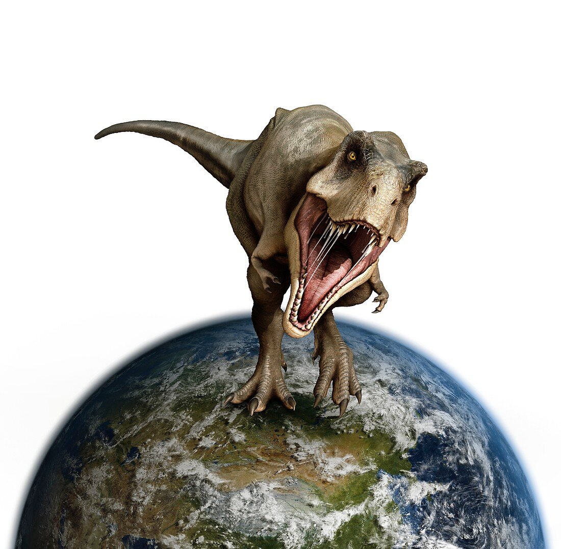 Tyrannosaurus dinosaur on Earth globe, illustration