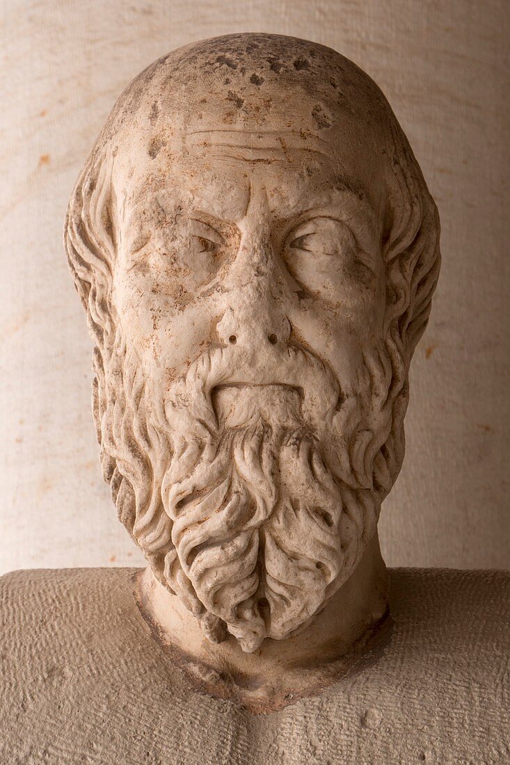 Herodotus, Greek historian.