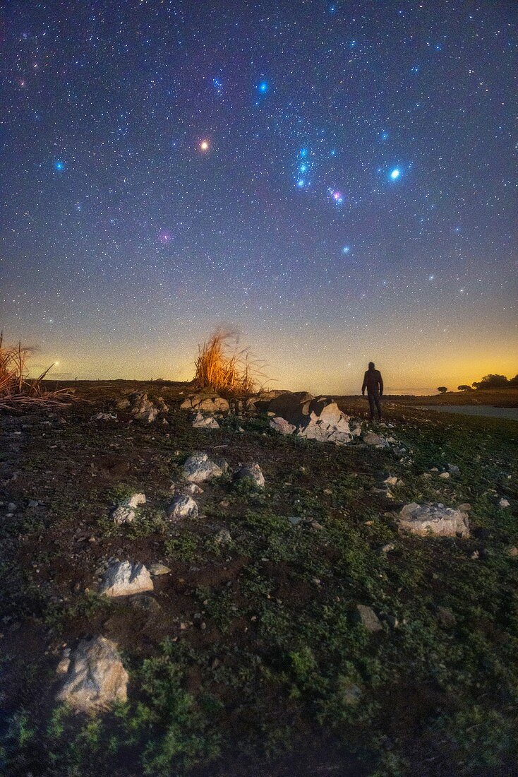Orion and Betelgeuse in the night sky over countryside