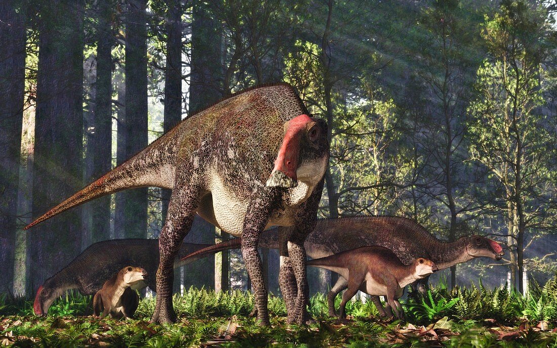 Family of Brachylophosaurus dinosaurs, illustration