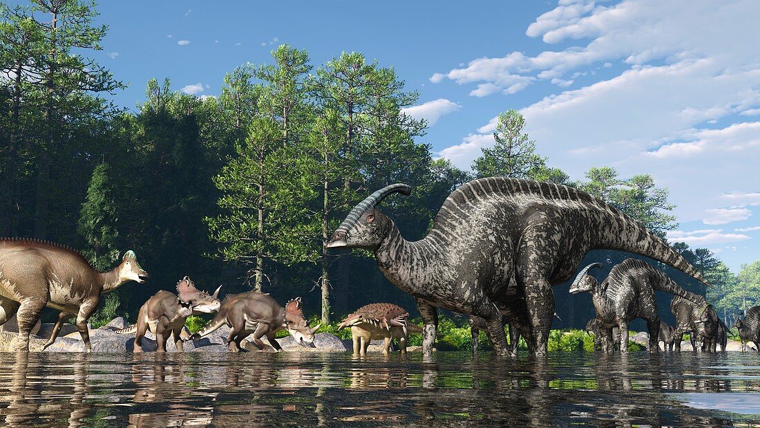 Dinosaur Park Formation fauna, illustration