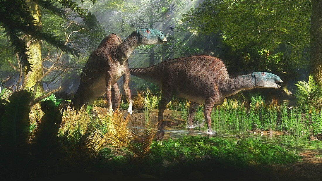 Eolambia dinosaurs, illustration