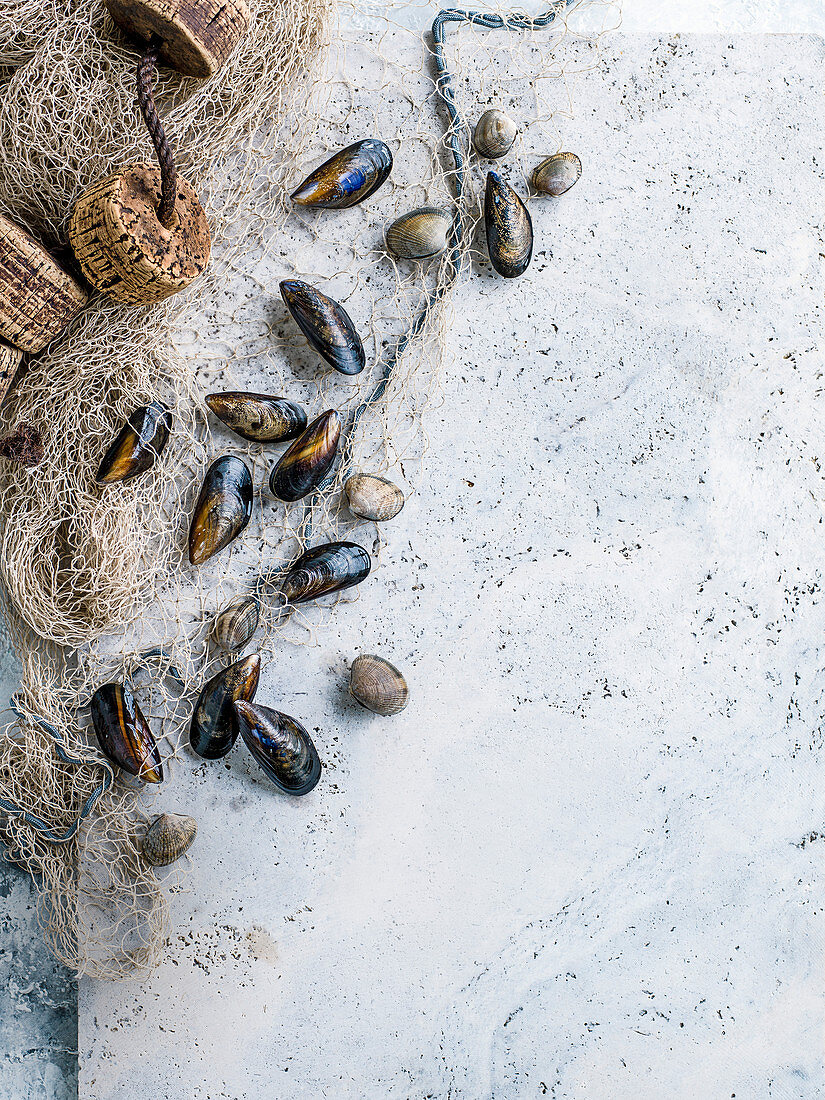 Fishing net with shells