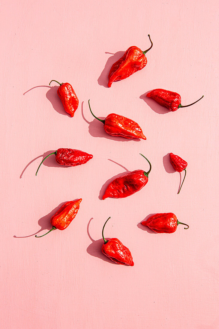 Fresh red chili peppers on a pink background