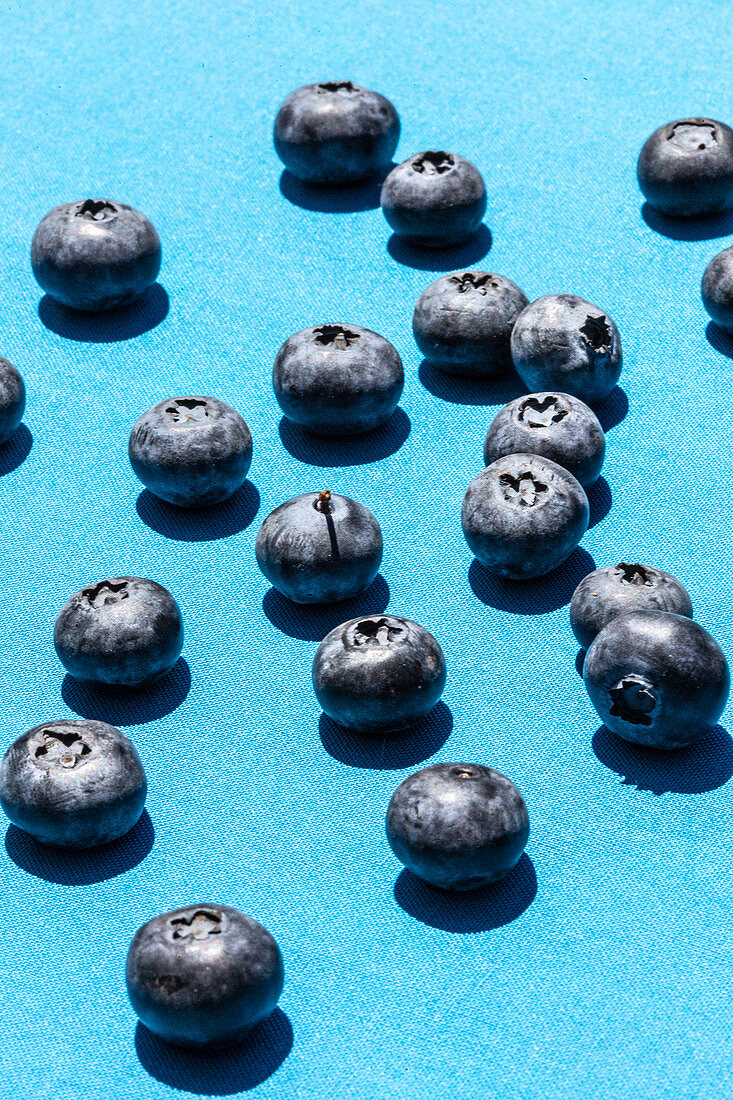 Fresh blueberries on a blue background