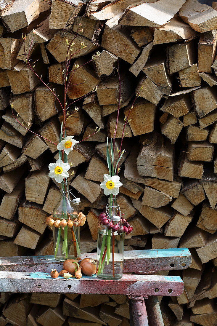 Narzissen in Wasserflaschen mit Zwiebelkränzchen vor Holzlager