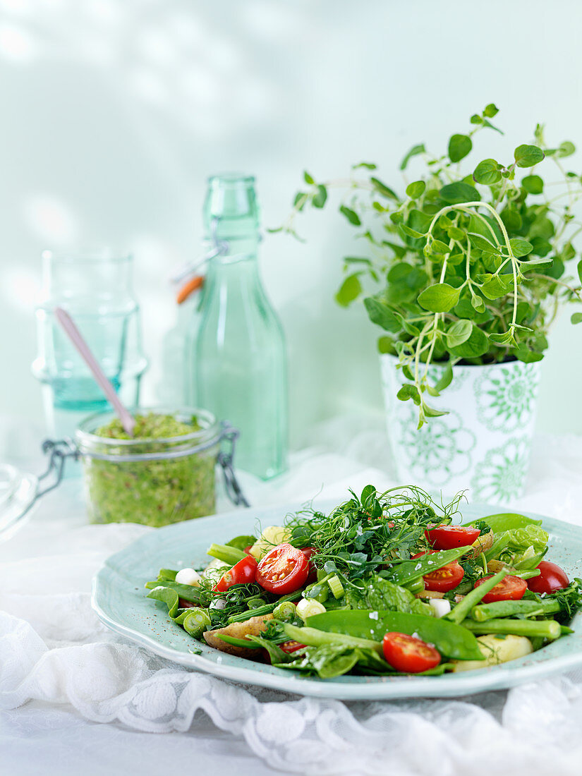 Grüner Gemüsesalat mit Kirschtomaten