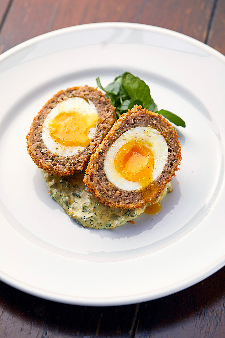 Scotch Egg