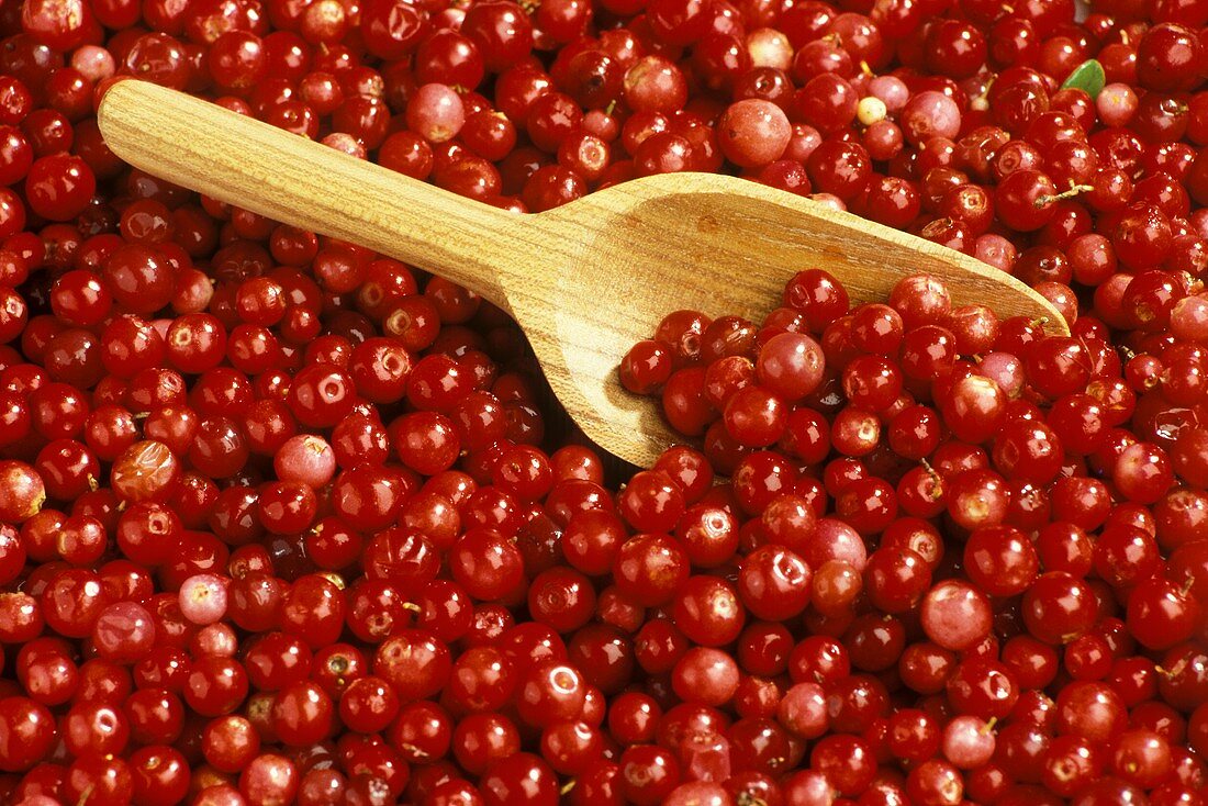 Many Cranberries with a Wooden Scoop