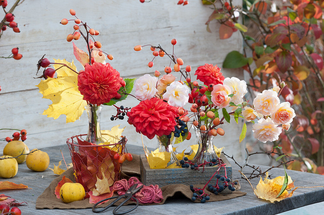 Floristic decoration with roses, dahlias, ornamental apples, and autumn leaves