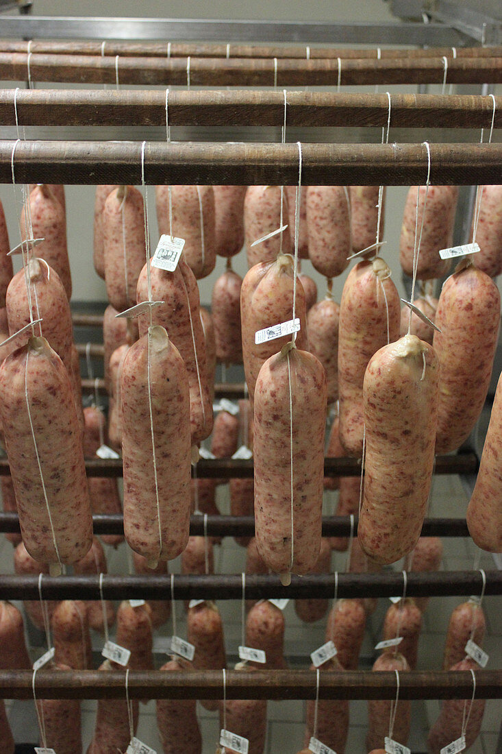 Cotechino (Rohwurst aus Schweinefleisch, Italien)