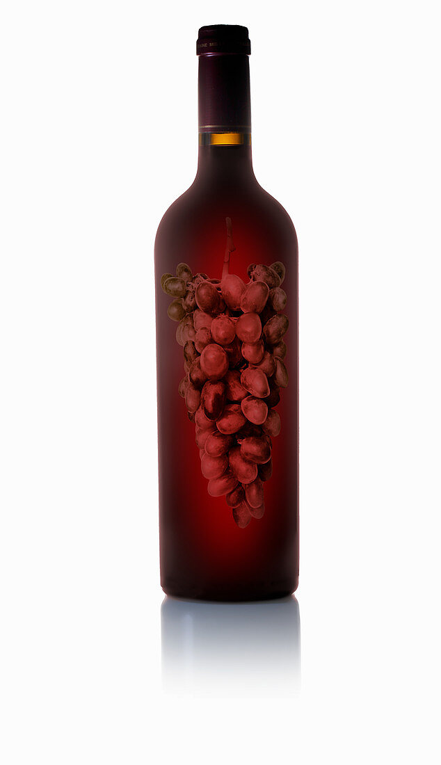 Flasche Rotwein