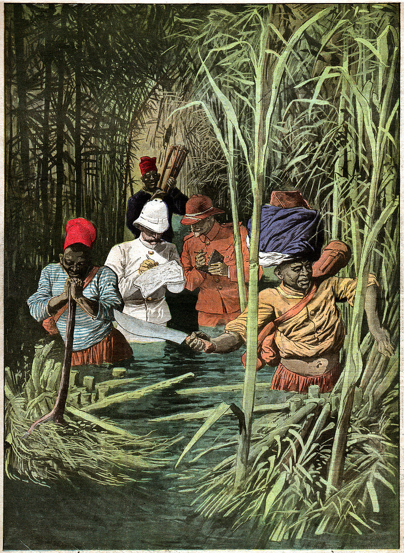 Colonialism in Africa, illustration
