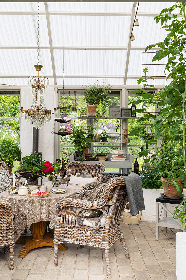 Wicker chairs around set table in cosy conservatory