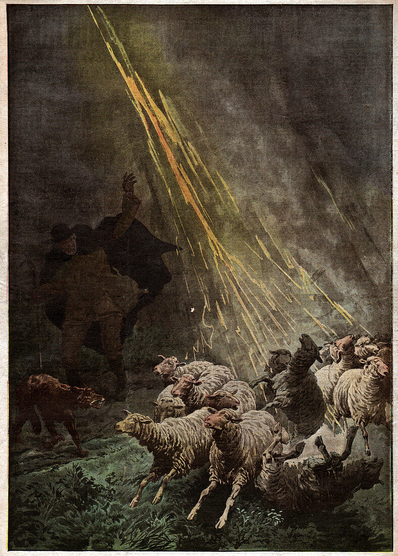 Sheep struck by lightning, illustration